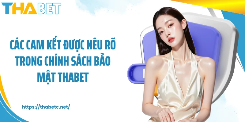 Các cam kết được nêu rõ trong chính sách bảo mật THABET
