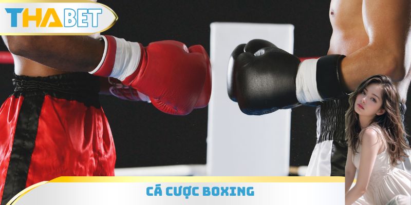 Cá Cược Boxing