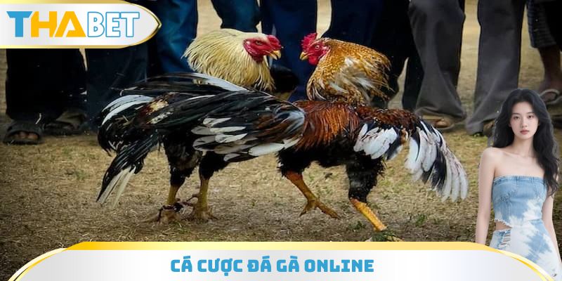 Cá Cược Đá Gà Online