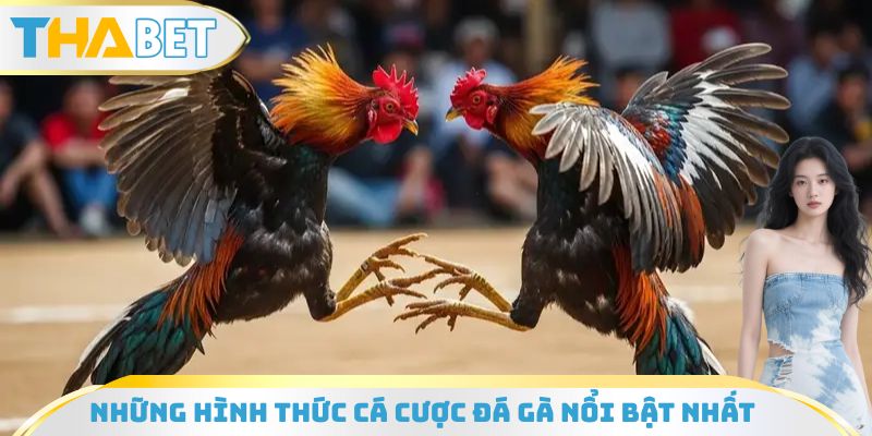 Những hình thức cá cược đá gà online nổi bật nhất