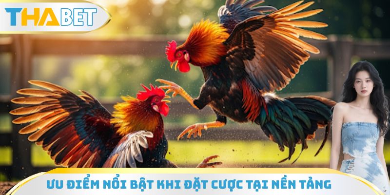 Ưu điểm nổi bật khi cá cược online tại nền tảng