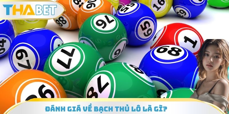 Đánh giá về bạch thủ lô là gì?