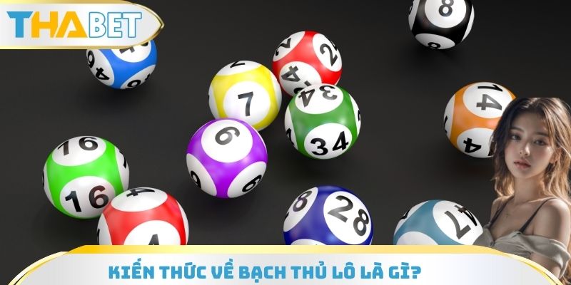 Kiến thức liên quan đến bạch thủ lô là gì?