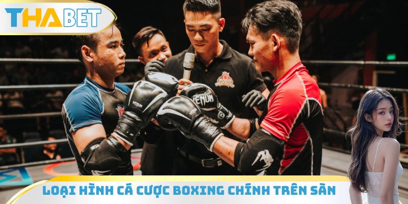 Loại hình cá cược Boxing chính trên sàn
