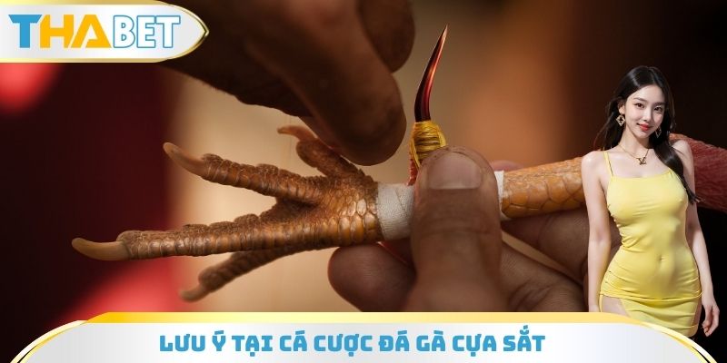 Lưu ý tại cá cược đá gà cựa sắt