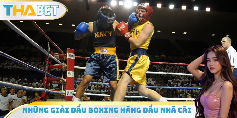 Những giải đấu Boxing hàng đầu nhà cái