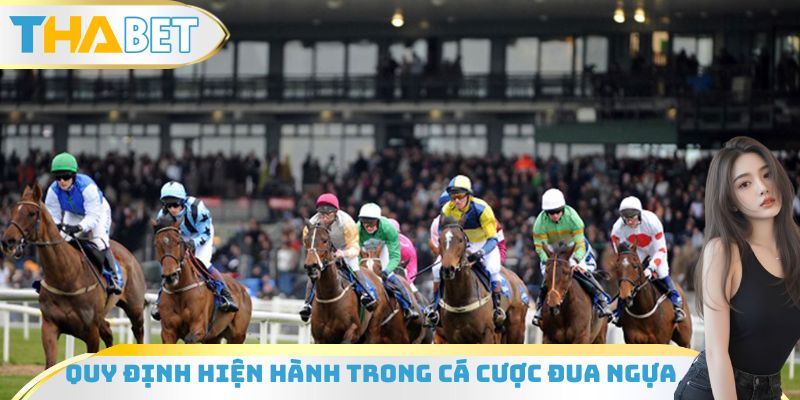 Quy định hiện hành trong cá cược đua ngựa